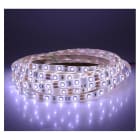 Miidex Lighting - &BANDEAU BLC 6000K 5M 60LED ET 4.8W/M IP65 12V PU