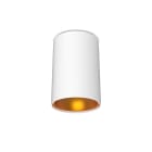 Miidex Lighting - HOYA SPOT SAILLIE GU10 CYLINDRE BLC/DORE