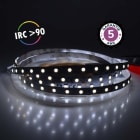 Miidex Lighting - &BANDEAU BLC 6000K 5M 60LED 12,4W/M IP20 24V BOITE 5ANS