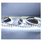 Miidex Lighting - BANDEAU BLC 6000K 5M 60LED ET 9W/M IP54 12V SILICONE