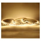 Miidex Lighting - BANDEAU BLC 3000K 5M 60LED ET 9W/M IP54 24V SILICONE