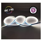 Miidex Lighting - BANDEAU COB 4000K 5M 320LED/M ET 9W/M IP20 24V 5ANS