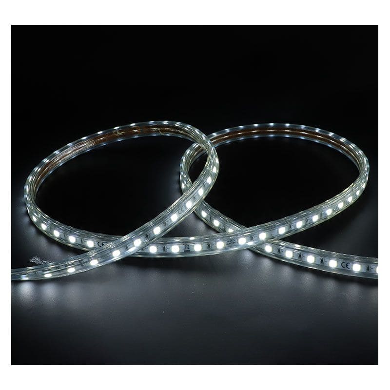 Miidex Lighting - BOBINE LED 5050 1M 8W/M IP65 6000K+ ALIM