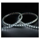 Miidex Lighting - BOBINE LED 5050 1M 8W/M IP65 6000K+ ALIM