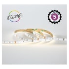 Miidex Lighting - BANDEAU BLC 4000K 5M 120LED 10W/M IP20 24V 5ANS
