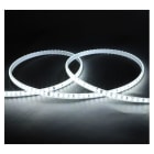Miidex Lighting - BOBINE 2835 50M 8W 6000K IP65 + ALIM