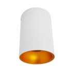 Miidex Lighting - HOYA SPOT SAILLIE GU10 CYLINDRE BLC/DORE