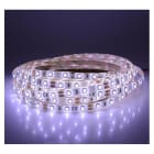 Miidex Lighting - &BANDEAU BLC 6000K 5M 60LED ET 4.8W/M IP65 12V PU