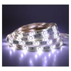 Miidex Lighting - &BANDEAU BLC 6000K 5M 30LED ET 7,2W/M IP65 12V PU