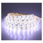 Miidex Lighting - BANDEAU BLC 6000K 5M 60LED ET 14.4W/M IP65 12V PU