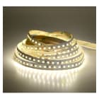Miidex Lighting - BANDEAU BLC 4000K 5M 120LED ET 12W/M IP20 12V