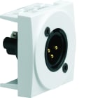 Iboco - Prise TerCia XLR mâle bornier à vis 2 modules blanche