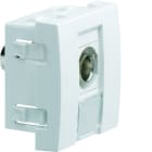 Iboco - Prise TerCia BNC traversante 2 modules blanche