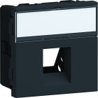 Iboco - Plastron keystone Tercia 1 poste 90° 2 modules spécial EPT noir