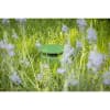 Vignette Photo produit 7