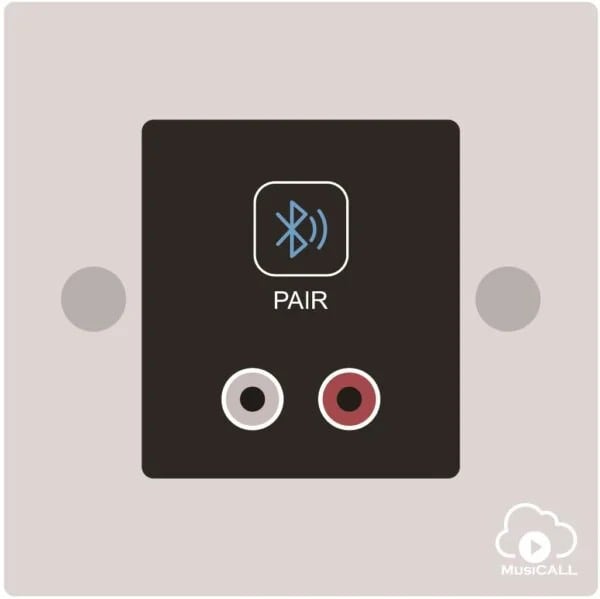 Sodel - ENTREE LOCALE RCA+BT POUR MATRICE 16X16