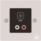 Sodel - ENTREE LOCALE RCA+BT POUR MATRICE 16X16