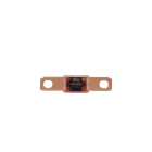 Eaton Industries France SAS - 13/16" BOLT TERMINAL FUS. LINK - 30 AMP