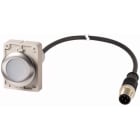 Eaton Industries France SAS - Bouton-poussoir, à rappel, 1 N/O, blanc, cable et connecteur M12A, 4-pole, 1 m