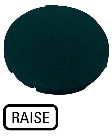Eaton Industries France SAS - Étiquette, plate noire, RAISE