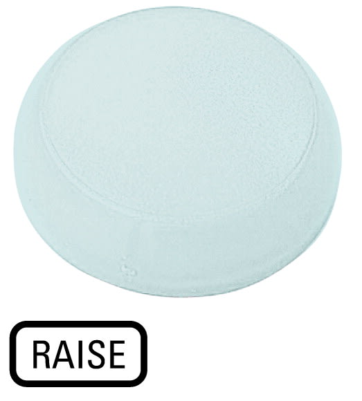Eaton Industries France SAS - Verrine, voyant lumineux blanc, plate, RAISE