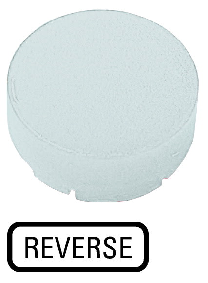 Eaton Industries France SAS - Verrine pour boutons-poussoirs, saillante blanche, REVERSE