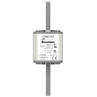 Eaton Industries France SAS - FUSE 100A 690V 1*/110 AR UC