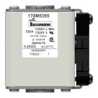 Eaton Industries France SAS - FUSE 550A 1250V 2BKN/75 AR CU