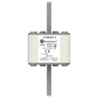 Eaton Industries France SAS - FUSE 700A 690V 2FU/90 AR UC