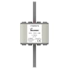 Eaton Industries France SAS - FUSE 900A 690V 2/110 AR