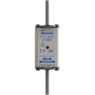 Eaton Industries France SAS - NH FUSE 250A 400V GG/GL SIZE 02