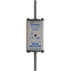 Eaton Industries France SAS - NH FUSE 100A 400V GG/GL SIZE 02