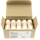 Eaton Industries France SAS - 25A 690V 22X58 INDICATED 14 X 58MM