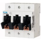 Eaton Industries France SAS - Sectionneur pour fusibles à couteaux, 63A, 3p