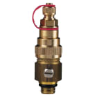 Siemens IBT - Prise de pression + purge p. v. combinée