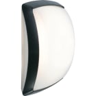 L'Ebenoid - Atoll C320 LED 2600lm 4000K HF+V FO TC AV noir