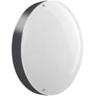 L'Ebenoid - Axiome T2 LED 2150lm 3000K HF AV gris 7024