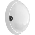 L'Ebenoid - Pure Horizon T1 LED 1800lm 3000K blanc