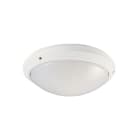 Aric - HUB 270T - Hublot Ext. IP65 IK10 850°, blanc, E27 75W max., lpe non incl.