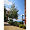 Vignette Photo produit ambiance 5