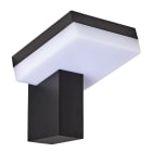 Aric - TOISE - Applique Mur Ext. LED IP54 IK06, graphite, 8W 3000K.