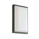 Aric - CAMILLE 2 - Appl. Mur Ext. IP65 IK07, graphite, LED intég. 10W 3000K 375lm