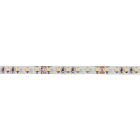 Aric - FLEXO-Ruban n/protg. IP20 24V 10W/m 120 LED/m 2400K 800 lm/m, lg 2,5m