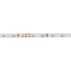 Aric - FLEXO 60 HR - Ruban LED souple IP20 4000K 2,5m