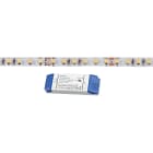 Aric - FLEXO-Ruban n/protg. IP20 24V 10W/m 120LED/m 2400K 800 lm/m, lg 2,5m,alim.incl.