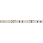 Aric - FLEXO-Ruban n/protg. IP20 24V 10W/m 120LED/m 2700K 740 lm/m, lg 2,5m,alim.incl.