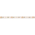 Aric - JAKLED 60 HR - Ruban LED souple protégé IP65 - 5m