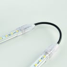 Europole - Connecteur rapide d'interconnexion 10cm REG'LED 24-230