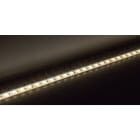 Europole - Bandeau Led 5m VOLTA CHROMA TW IP68 19,5W/m 24VDC