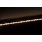 Europole - Bandeau Led 1m LONG FLEX PRO TRIAC 3000K 12W/m 1000lm/m 230VAC